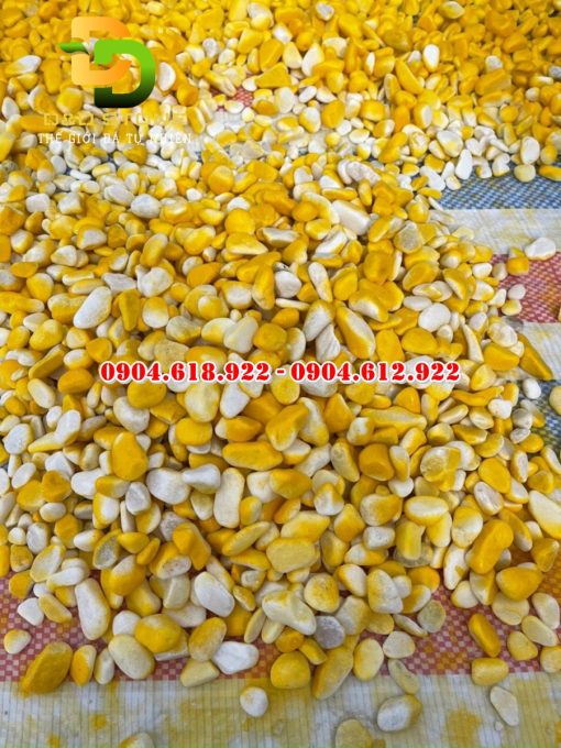 Soi-mau-nhuom-nhan-tao (1)