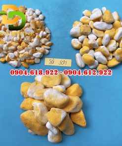 Soi-mau-nhuom-nhan-tao (10)