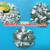 Soi-mau-nhuom-nhan-tao (11)