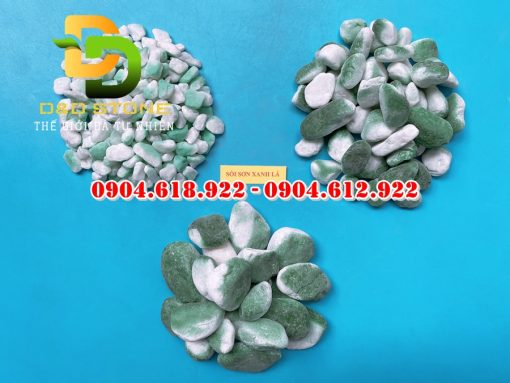 Soi-mau-nhuom-nhan-tao (11)
