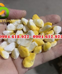Soi-mau-nhuom-nhan-tao (2)