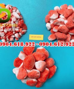 Soi-mau-nhuom-nhan-tao (9)