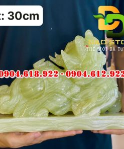 Ty-huu-phong-thuy (17)