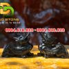 Ty-huu-phong-thuy (45)