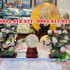 cay-dao-thach-anh-trang-tri-ngay-tet (6)