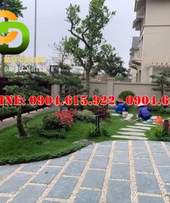 da-xanh-reu-thanh hoa