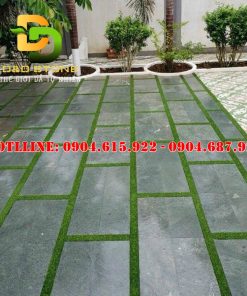 da-xanh-reu-thanh hoa