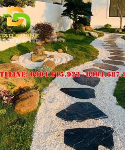 da-buoc-dao-lua-den-chi-trang