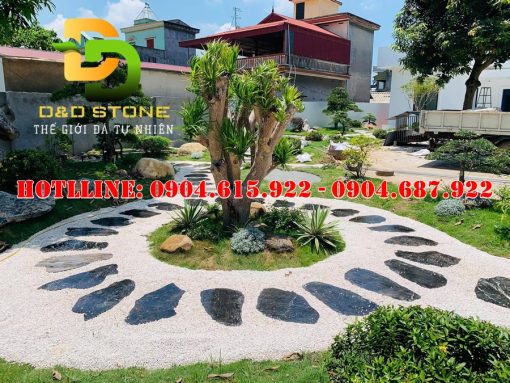 da-buoc-dao-lua-den-chi-trang