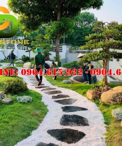 da-buoc-dao-lua-den-chi-trang