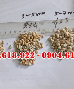 Soi-vang-quay-nhan-tao (2)