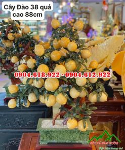 Cay-dao-thach-anh-vang (3)