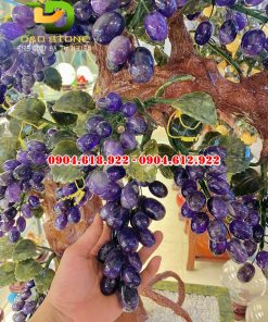 Cay-nho-thach-anh-tim (3)