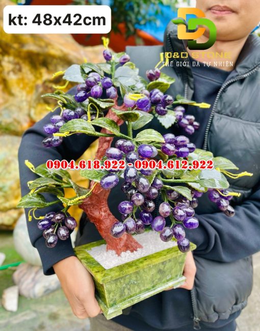 Cay-nho-thach-anh-tim (1)