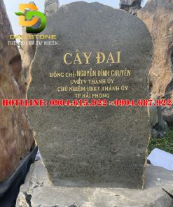 bien-hieu-da-tu-nhien