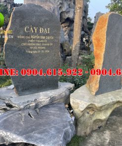 bien-hieu-da-tu-nhien