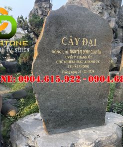 bien-hieu-da-tu-nhien