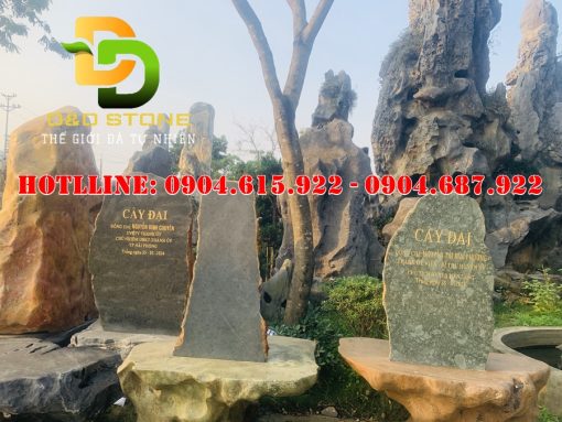 bien-hieu-da-tu-nhien