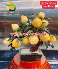 Cay-dao-thach-anh-vang (1)