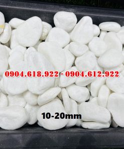 Soi-quay-trang-muoi (5)