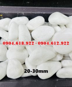 Soi-quay-trang-muoi (4)