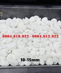 Soi-quay-trang-muoi (2)