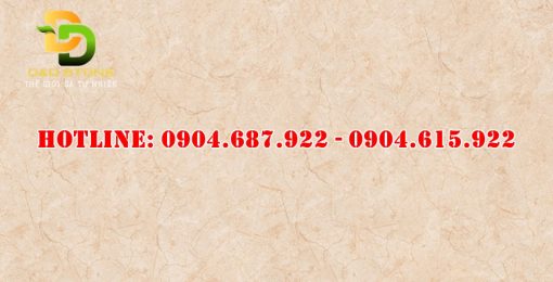 Bán gạch lát nền prime 80x120 DD08300