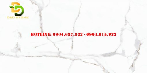 Gạch ốp lát Prime 60x120 DD08321