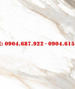 Gạch lát nền Prime 60x120 DD21400