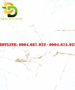 Mẫu gạch ốp lát Prime 80x80 DD08620