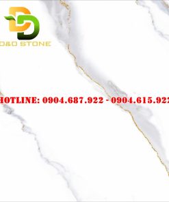 Mẫu gạch lát nền prime 80x80 DD08684