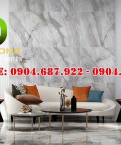 Cung cấp gạch lát nền DD08685