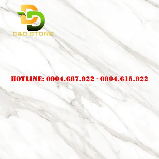 Gạch lát nền Prime 80x80 DD08803