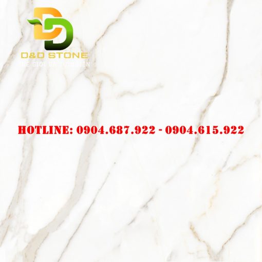 Gạch lát nền Prime 80x80 DD08858