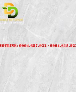 Gạch lát nền Prime 80x80 DD08981