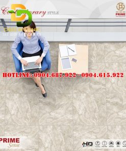 Mẫu gạch lát nền Prime DD15811