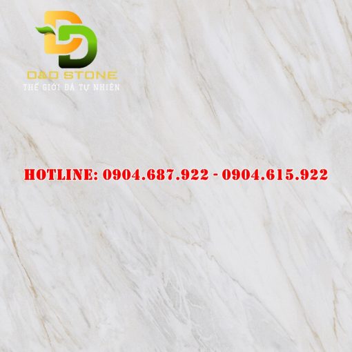 Gạch lát nền prime 80x80 DD15819