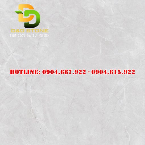 Mẫu gạch lát nền Prime 80x80 DD15821