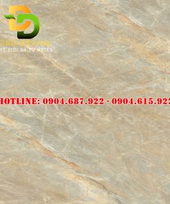 Mẫu gạch lát nền Prime 80x80 DD17510