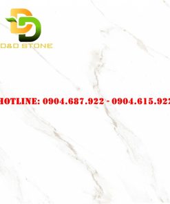 Bán gạch lát nền prime 80x80 DD18508