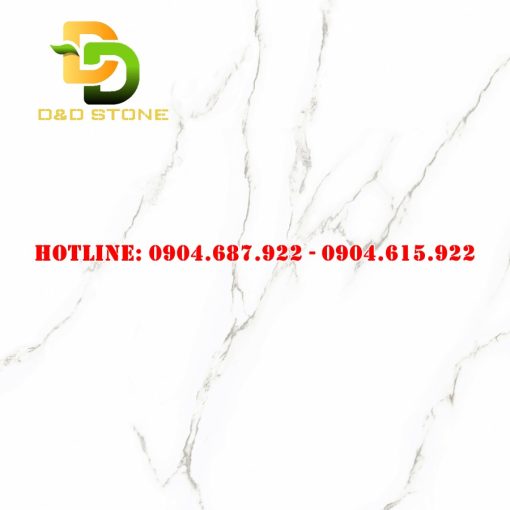 Gạch lát nền Prime 80x80 DD21603