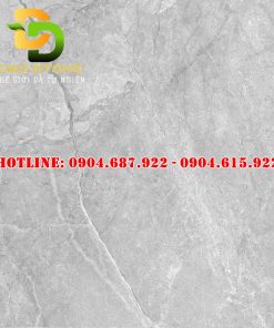 Mẫu gạch lát nền prime 80x80 DD27575
