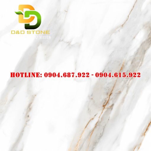 Gạch lát nền Prime 80x80 DD27803