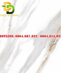 Mẫu gạch lát nền Prime 80x80 DD27803