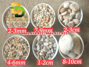 dia-chi-ban-soi-bien-tu-nhien (1)