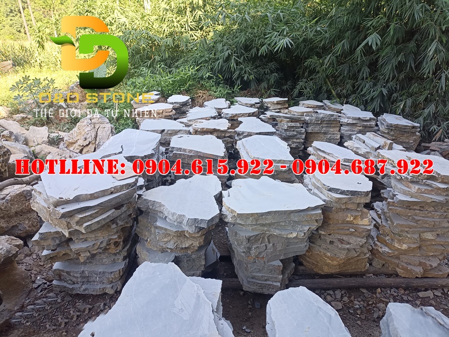 da-buoc-dao-loi-di-san-vuon