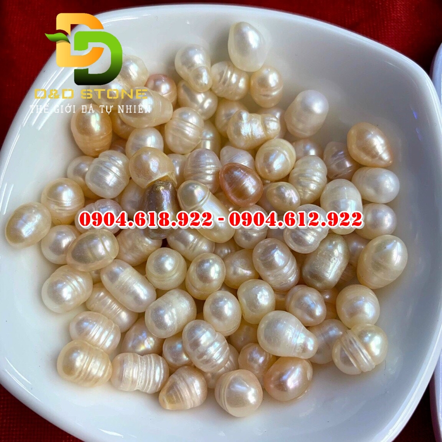 Ngoc-trai-tho (6)