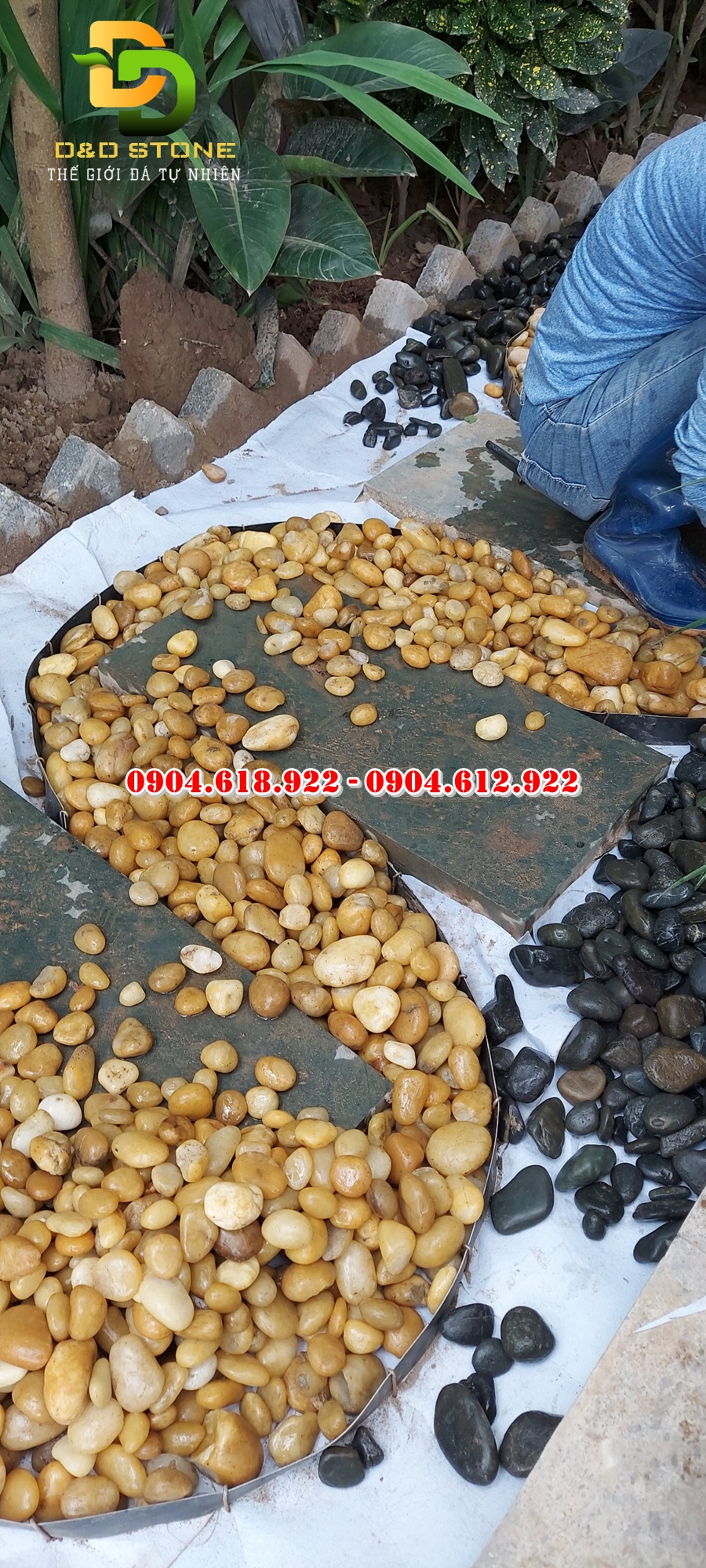 cac-mau-soi-rai-san-vuon-duoc-yeu-thich (5)