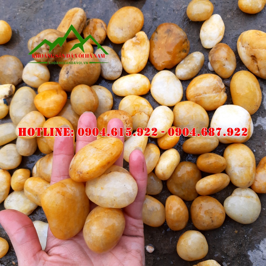 soi-trang-tri-san-vuon