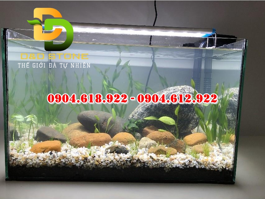 soi-trang-tri-be-ca-tai-ha-noi (4)